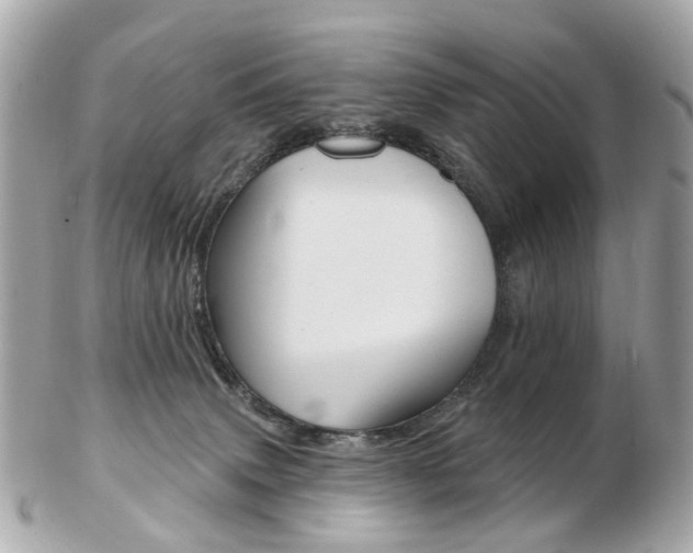 X0000103280083200808291055