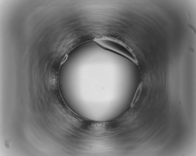 X0000103280084200808291055