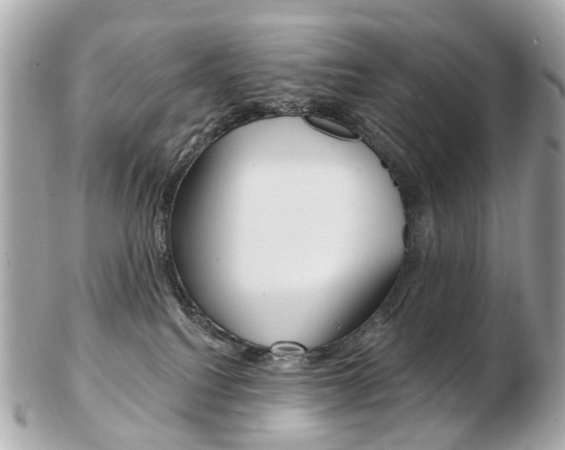 X0000103280088200808291055