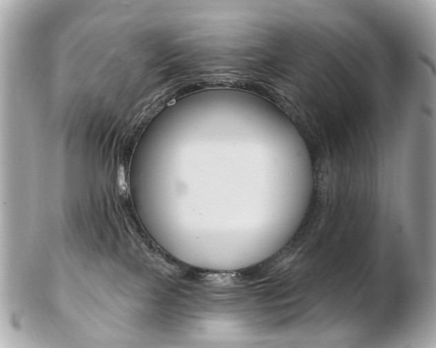 X0000103280089200808291055