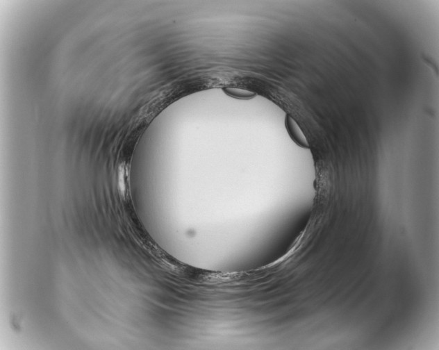 X0000103280094200808291055