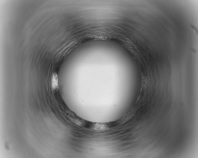 X0000103280095200808291055