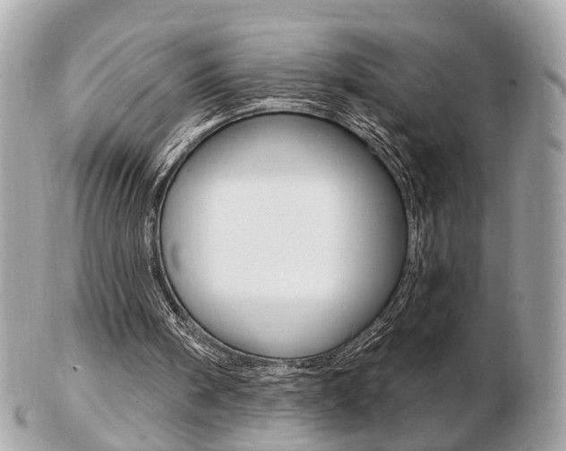 X0000103280098200808291055