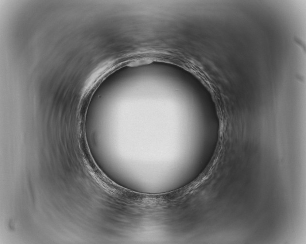 X0000103280101200808291055