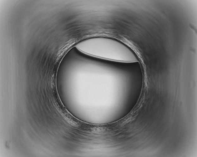 X0000103280105200808291055