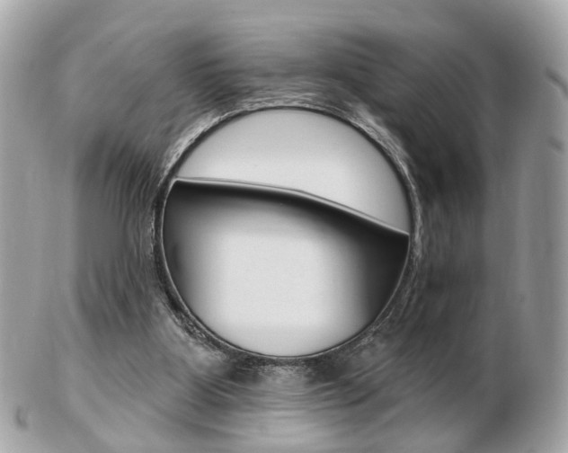 X0000103280107200808291055