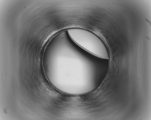 X0000103280108200808291055
