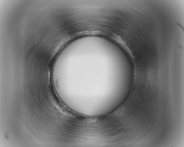 X0000103280110200808291054