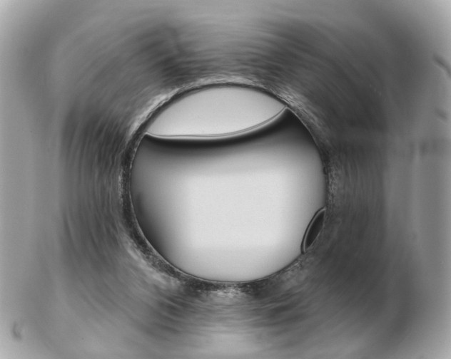 X0000103280112200808291054