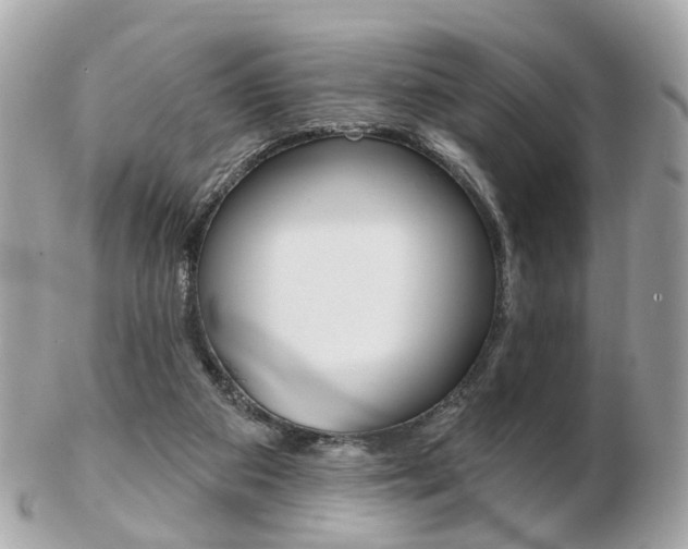 X0000103280113200808291054