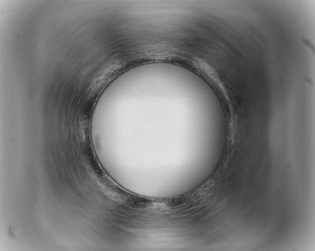 X0000103280114200808291054