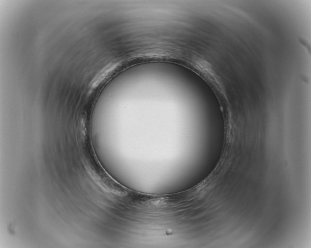 X0000103280116200808291054