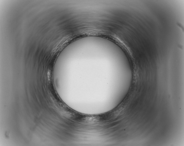 X0000103280117200808291054