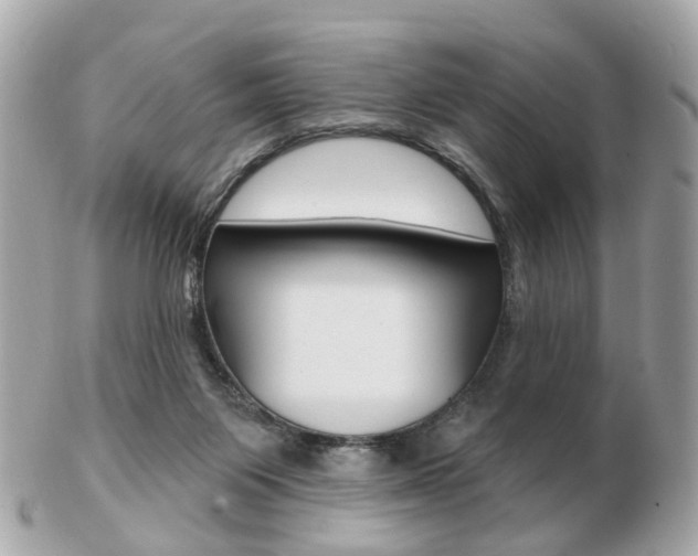 X0000103280119200808291054