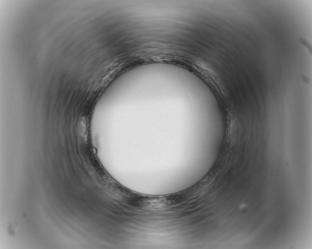 X0000103280121200808291054
