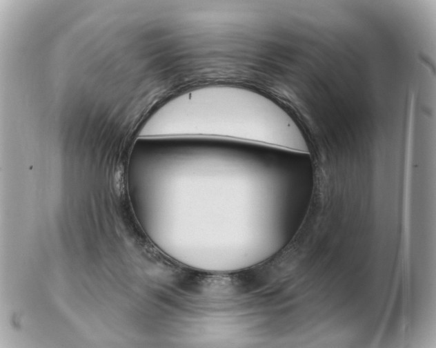 X0000103280123200808291054