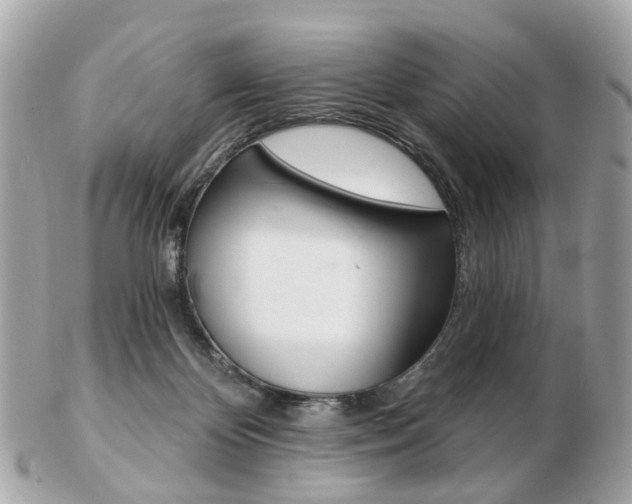 X0000103280124200808291054