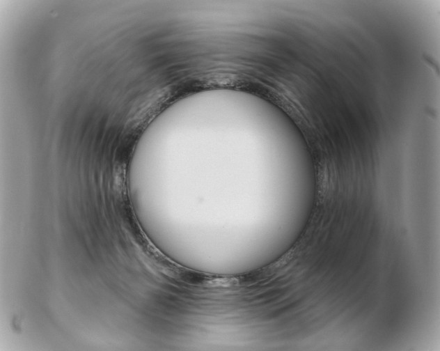 X0000103280126200808291054