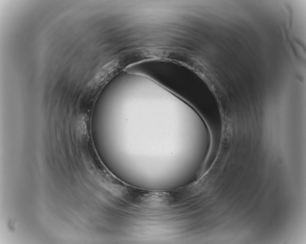 X0000103280128200808291054