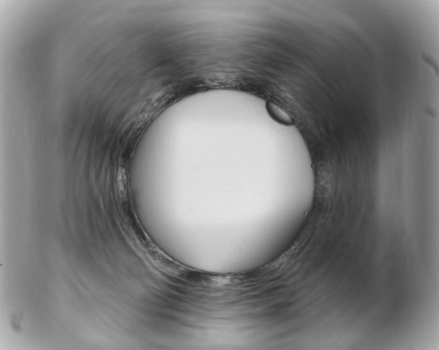X0000103280130200808291054