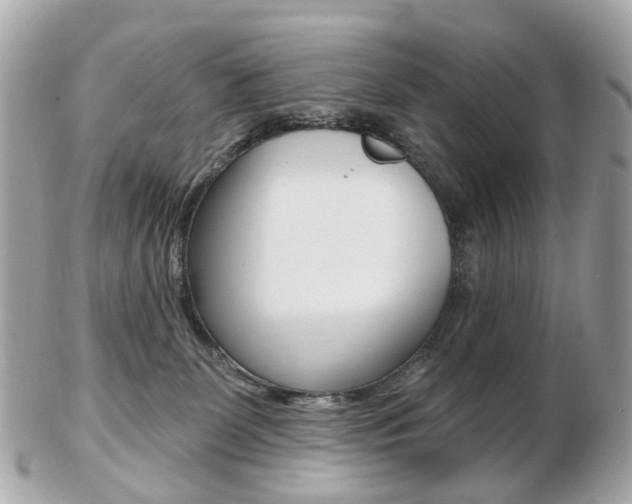 X0000103280131200808291054