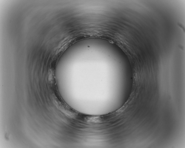 X0000103280132200808291054