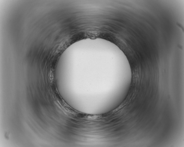 X0000103280134200808291054