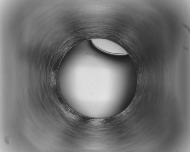 X0000103280136200808291054