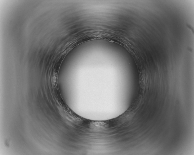 X0000103280137200808291054