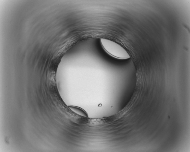 X0000103280141200808291054
