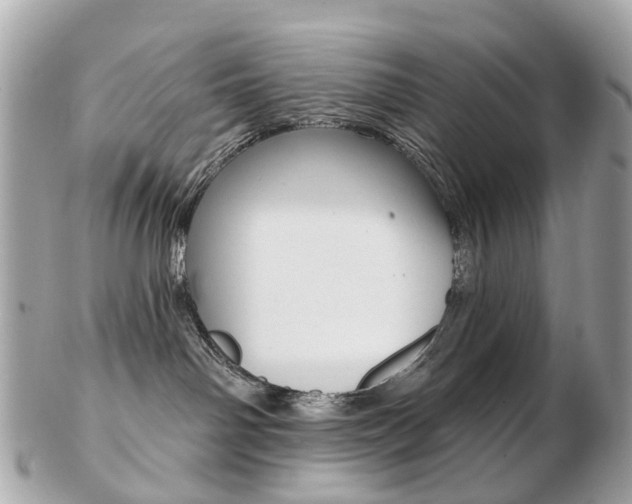 X0000103280142200808291054