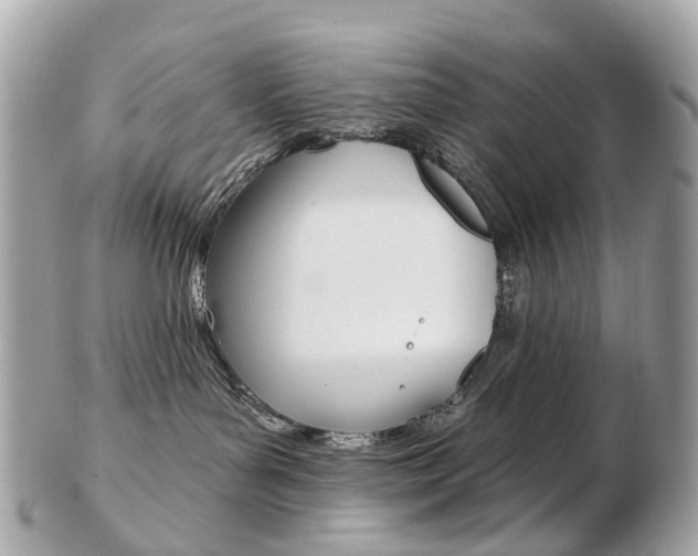 X0000103280143200808291054