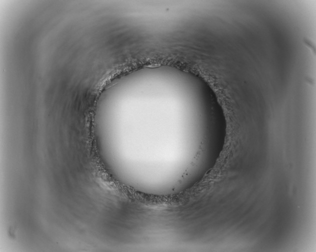 X0000103280144200808291054