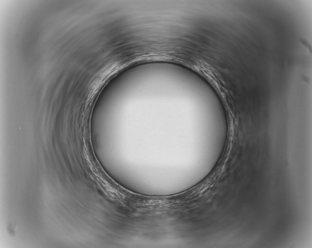 X0000103280145200808291053