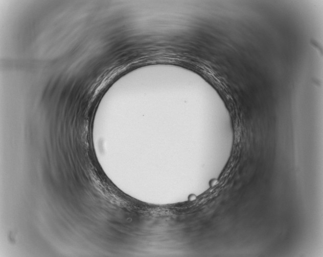 X0000103280146200808291053