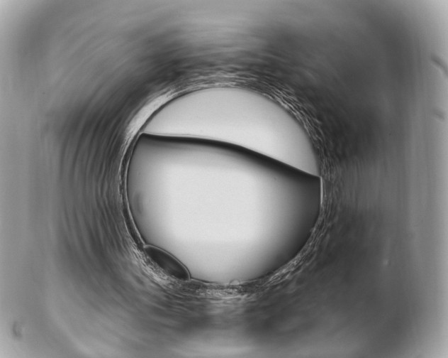 X0000103280147200808291053