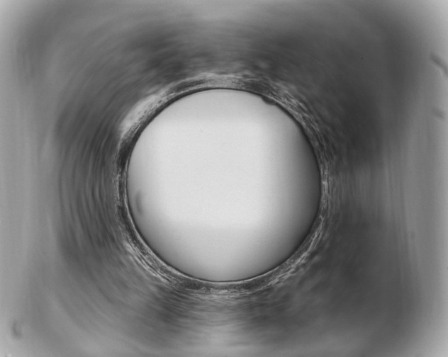 X0000103280149200808291053