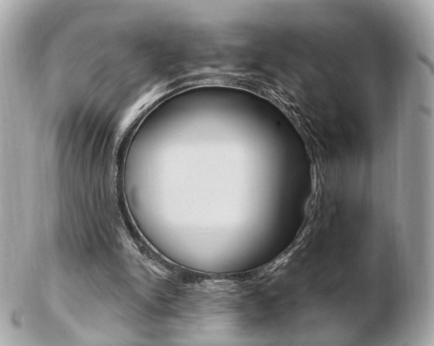 X0000103280150200808291053