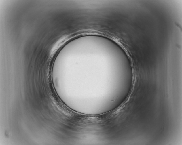 X0000103280151200808291053