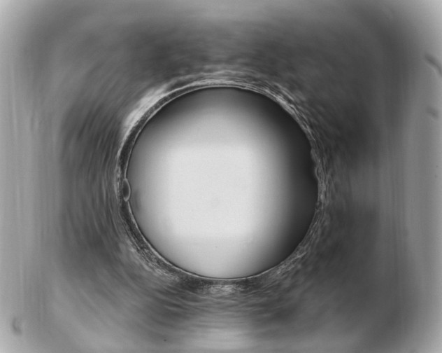 X0000103280152200808291053