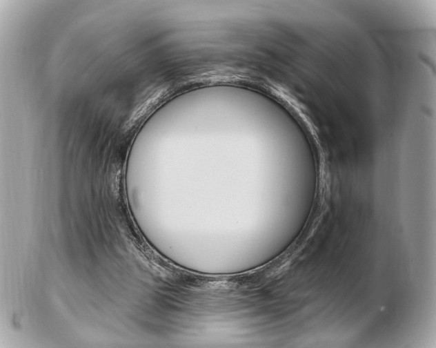 X0000103280153200808291053