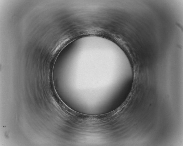 X0000103280154200808291053