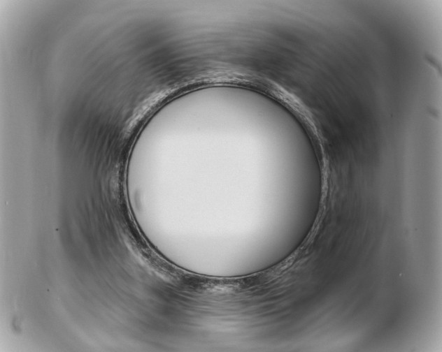 X0000103280155200808291053