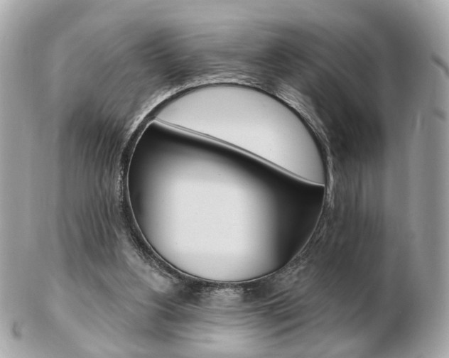 X0000103280156200808291053