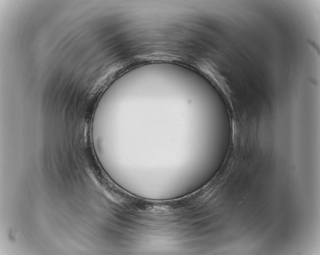 X0000103280157200808291054