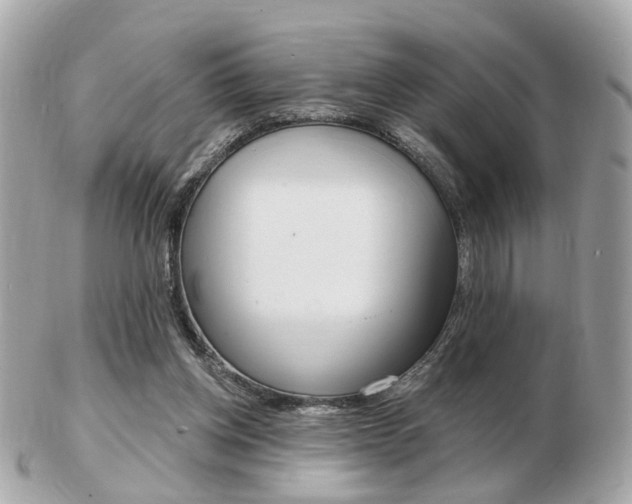 X0000103280158200808291054