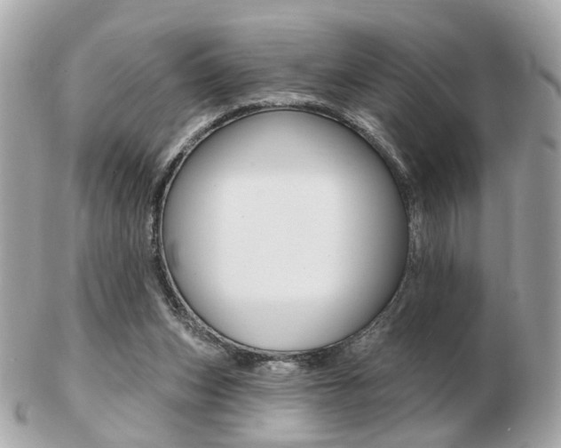 X0000103280159200808291054