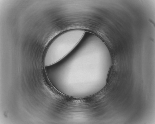 X0000103280160200808291054