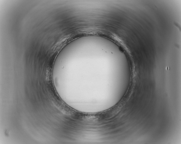 X0000103280161200808291054