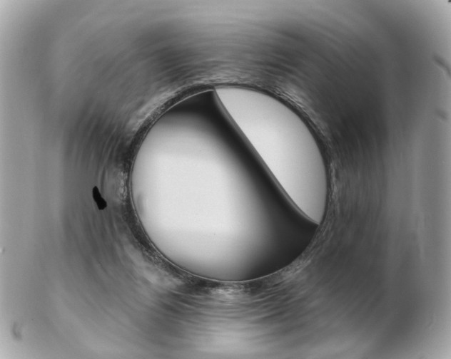 X0000103280164200808291054